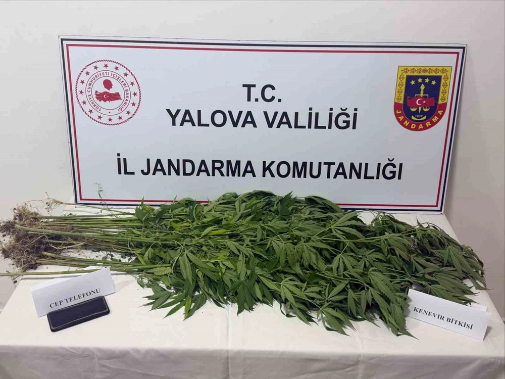 Yalova'da uyuşturucu operasyonu 3 gözaltı
