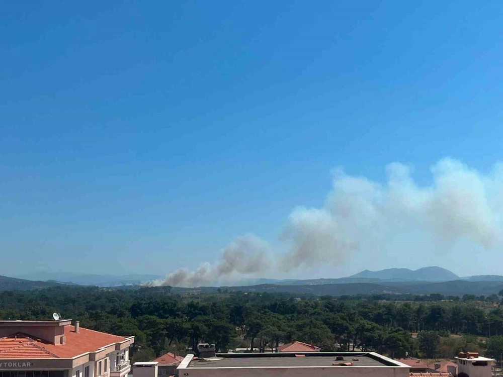 Ayvacık'ta Otluk Alanda Yangın