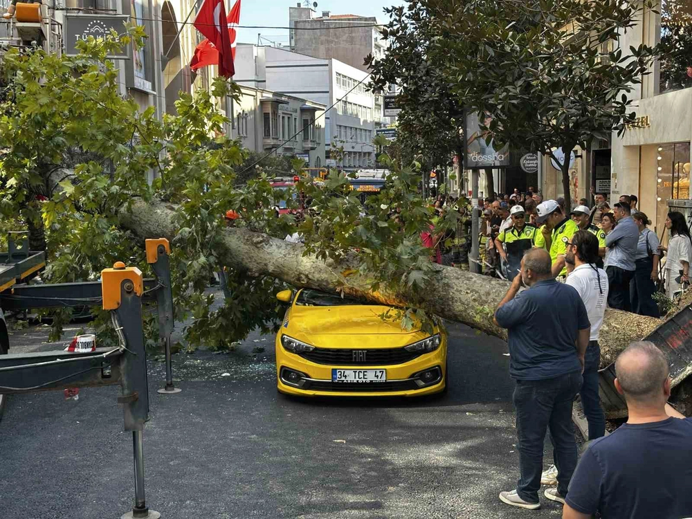 Şişli'de Çınar Ağacı Araçların Üzerine Devrildi