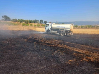 Bilecik'te Anız Yangını Ekiplerin Müdahalesiyle Söndürüldü