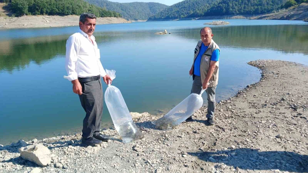 Orhaneli Göletlerine Sazan Yavruları Salındı