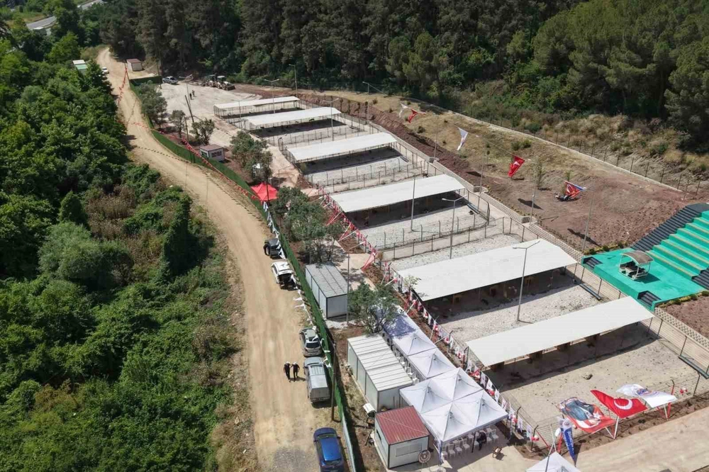 Bursa Hayvan Hakları Platformu’ndan Gemlik Belediyesi’ne Tepki