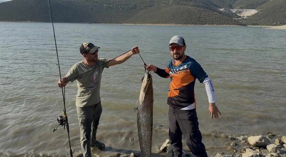 Turna Avı Beklerken Oltalara Takılan 127 Santimlik Dev Yayın Balığı Şaşkınlık Yarattı