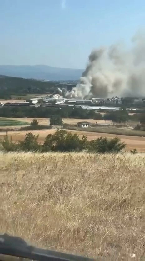 Bursa Mudanya'da Tavuk Çiftliğinde Yangın