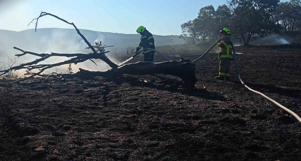 Balıkesir İtfaiyesi Temmuzda Bin 521 Olaya Müdahale Etti