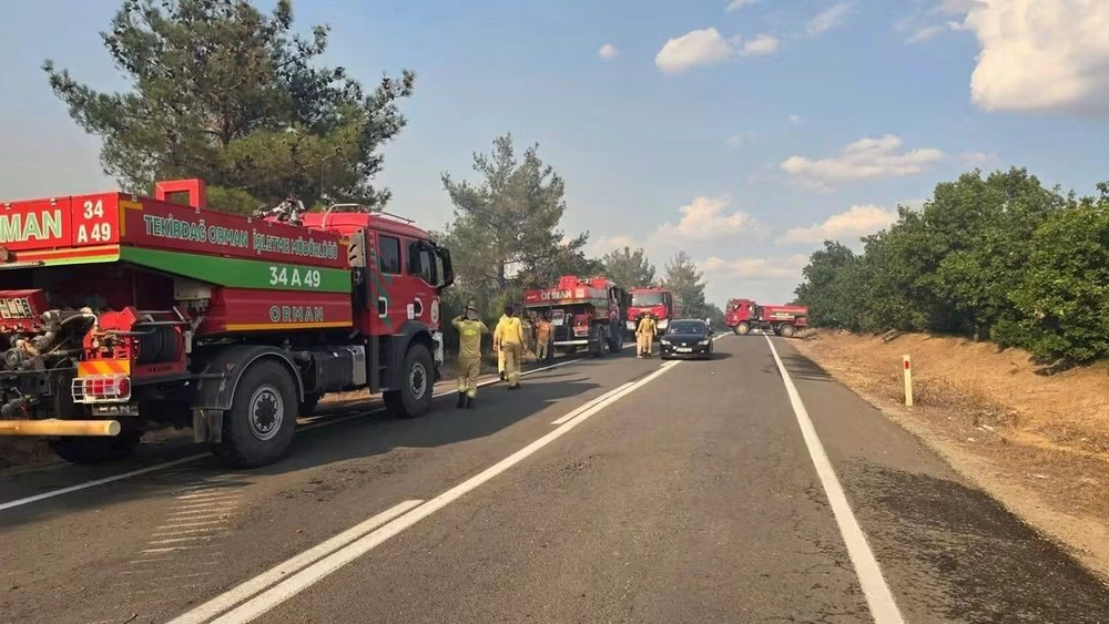 Meriç'teki Orman Yangını Kontrol Altına Alındı