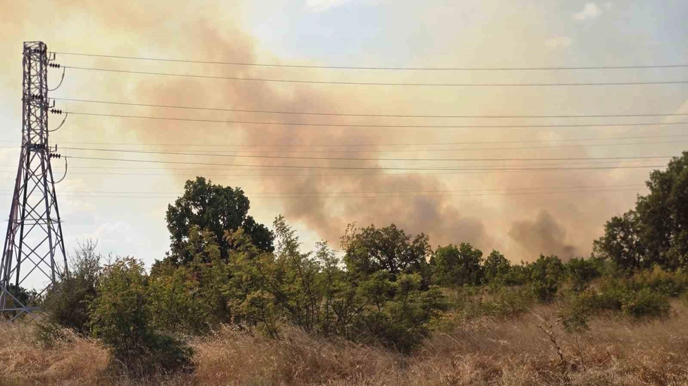 Edirne'de Anız Yangını Ormanlık Alana Sıçradı