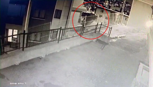 Eyüpsultan'da alkollü sürücünün aracı binanın 3. katına çarparak bahçeye düştü