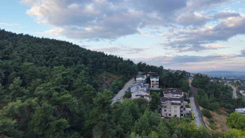 Bursa'da Mahalle Sakinleri Ayı Görülmesi Üzerine Tedirgin Oldu