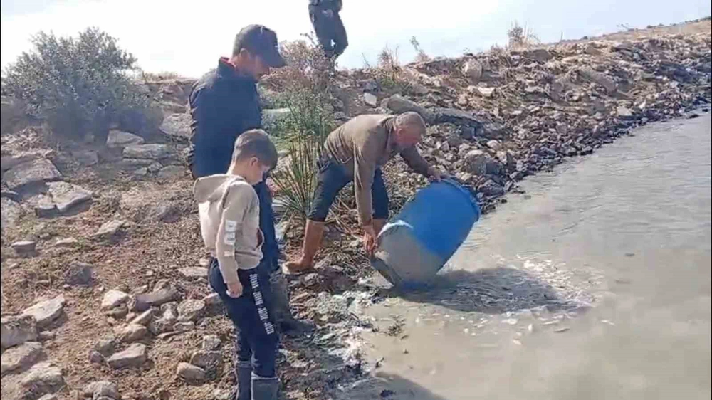 Edirne'de Sulama Kanallarında Mahsur Kalan Balıklar Kurtarıldı