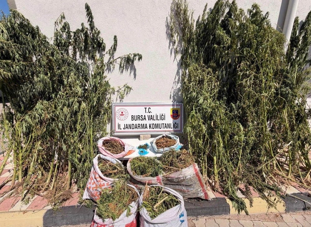 Karacabey'de Uyuşturucu Operasyonu 22 Kilo 675 Gram Esrar Ele Geçirildi