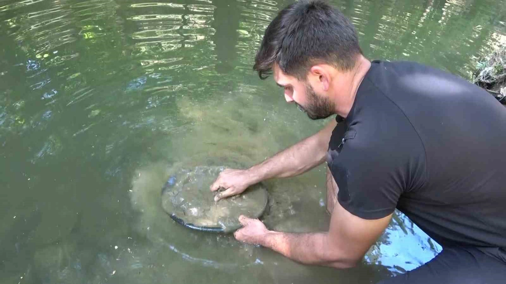 Bursalı Emre Aydın Derelerden Günlük 5 Gram Altın Çıkarıyor