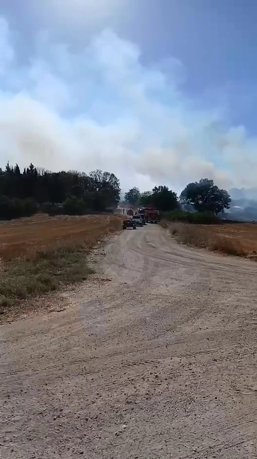 Nilüfer'de Arazi Yangını Ekiplerin Hızlı Müdahalesiyle Söndürüldü